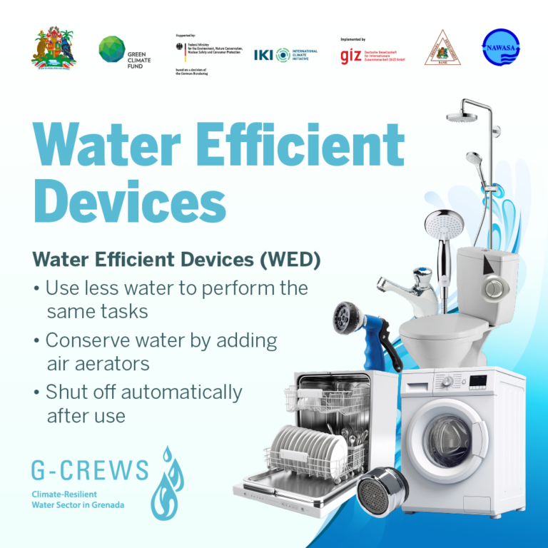 G-CREWS - WED (CAROUSEL 3)-01