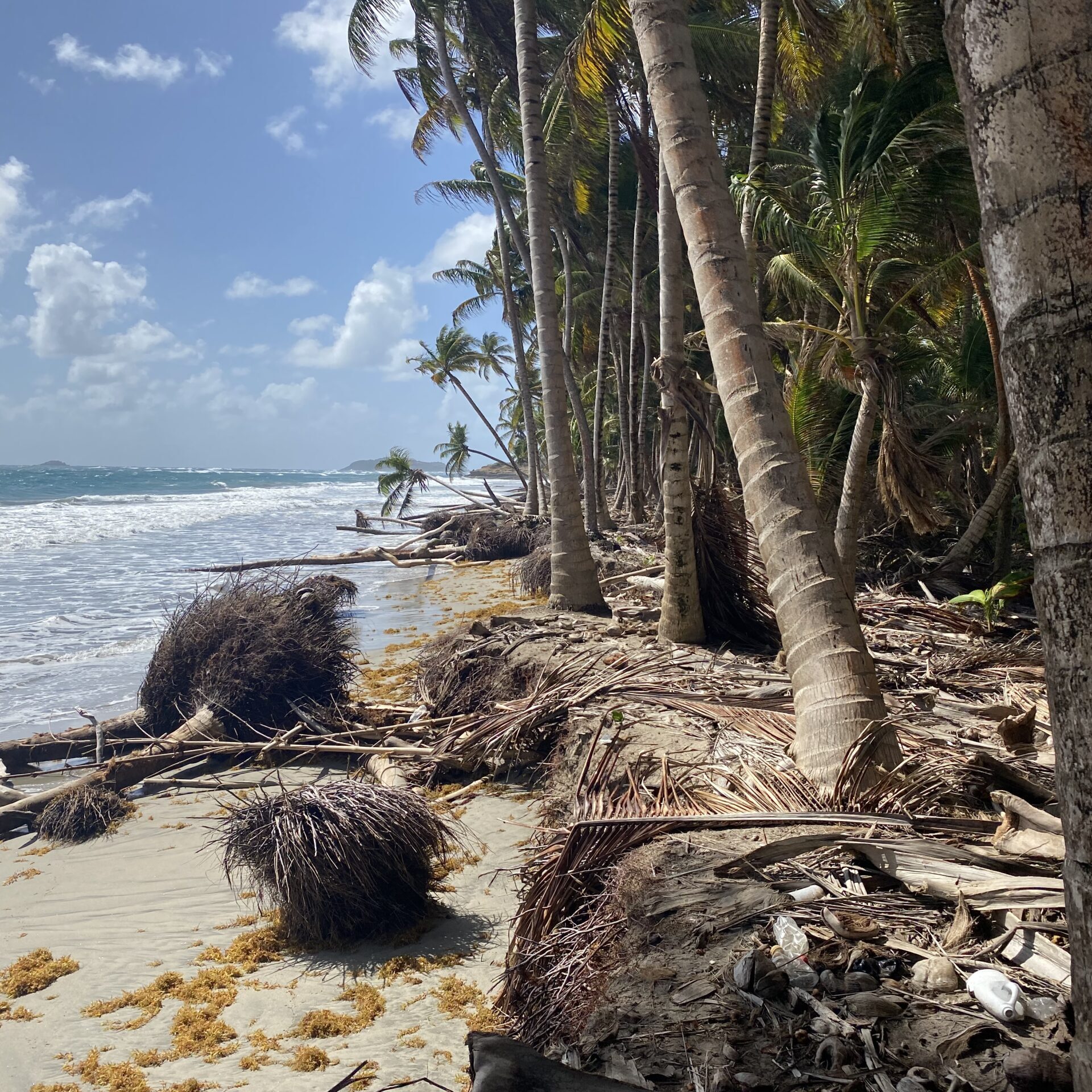 Beach Degregation_St Andrew Beach Degregation_St Andrew