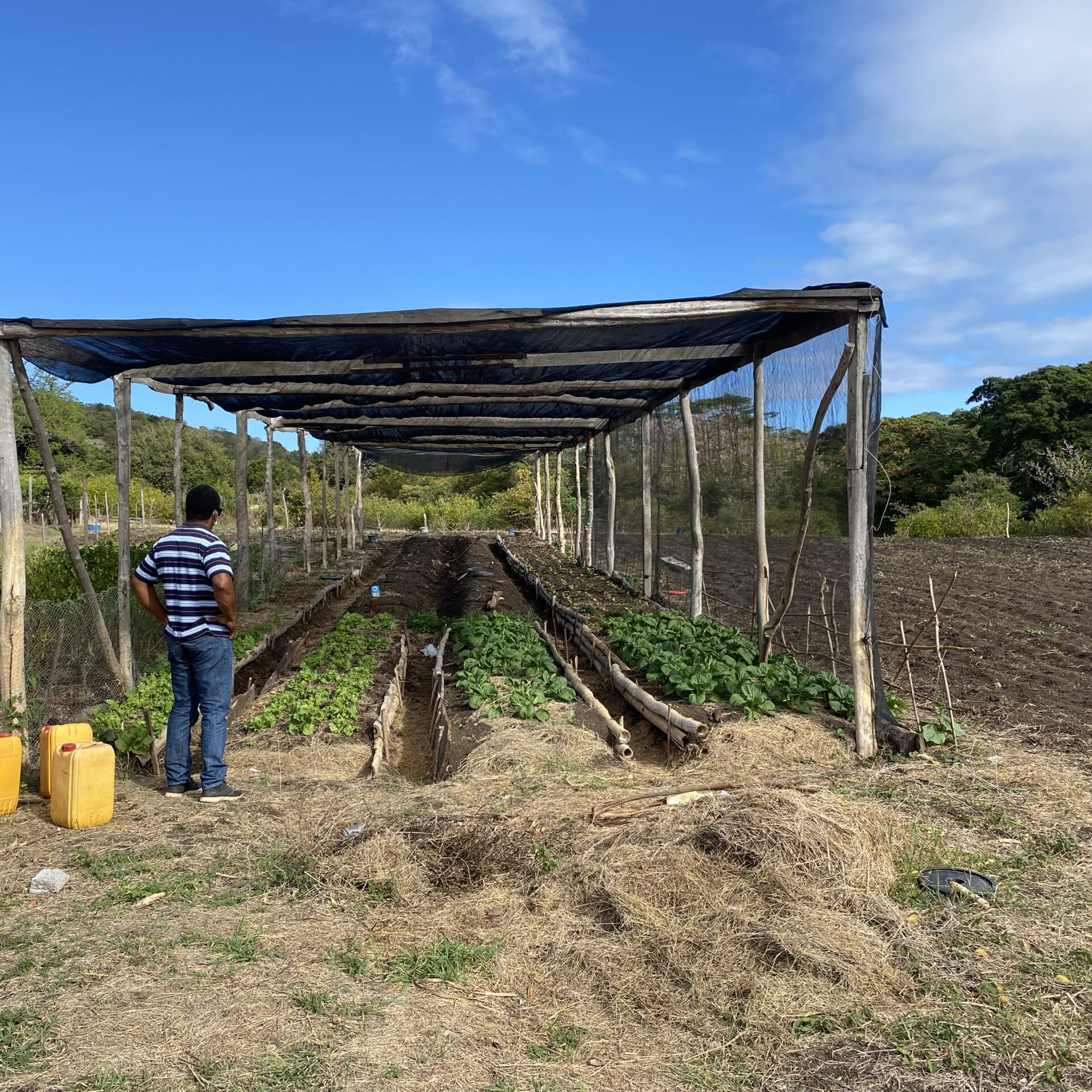 Shadehouse_KazerLawrence_Carriacou